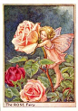 Cicely Mary Barker、Cicely Mary Barker