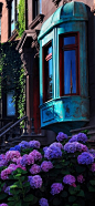 Brownstone neighborhood
Brooklyn, NYC
纽约布鲁克林