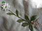 手工刺绣图案 野花花卉刺绣欣赏-创意生活,手工制作╭★肉丁网