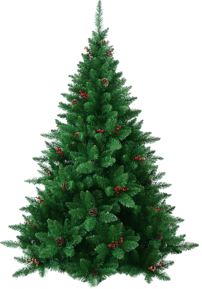 圣诞节 圣诞树图片PNG素材松树素材