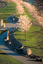 Japanese American Historical Plaza