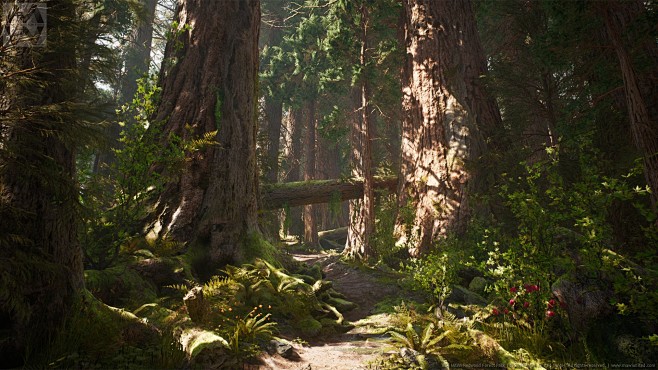 UE4 Redwood Forest V...