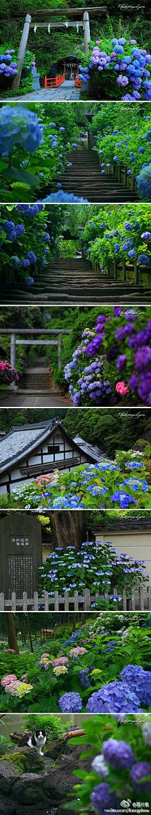 那谁那啥那_吖花采集到场景---懜瀞