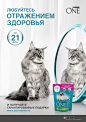 Purina One. Отражение здоровья вашей кошки. : Промо кампания для корма Purina ONE.