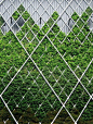 【景观垂直绿化设计图集下载】绿墙/墙面坡面绿化/立体绿化