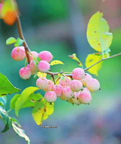 ꧁༺芒果君༻꧂采集到景色诱人