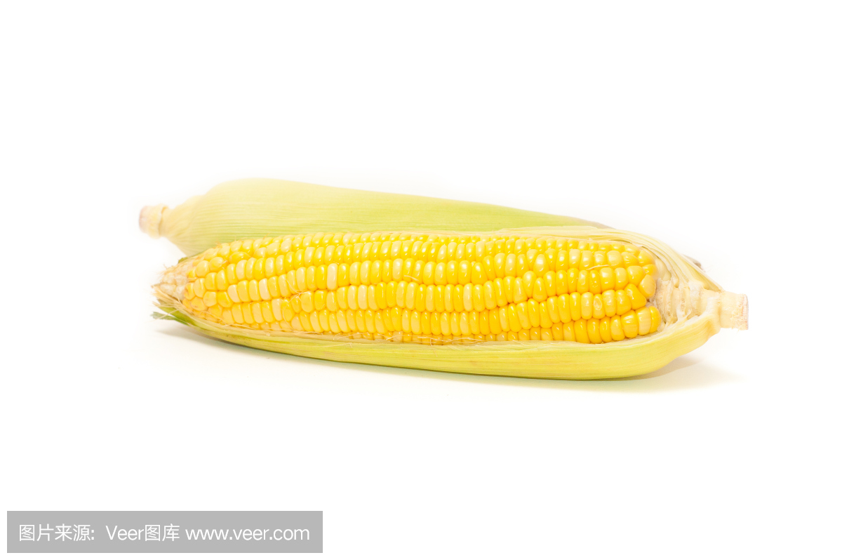 292c4fb2c7ec4f383781eeb7068e1174fdd09c6e351d3-Empmv4