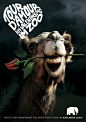 Zoo Cologn德国科隆动物园公益广告设计：情人节