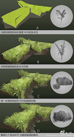 小白面包采集到过程