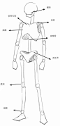 日系绘画解说  漫画插画素材  人体参考 头身 人体比例 Q版  男性人体骨骼