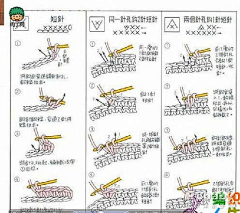 Xuzhesmile采集到肉丁网DIY