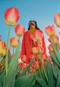 Sister Cities | Jimmy Marble