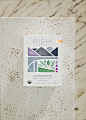 RishiLooseLeaf散装茶叶包装-古田路9号-品牌创意/版权保护平台