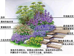 DesignHOU采集到景观 I 花镜