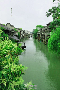 、花开半夏采集到身未动，心已远