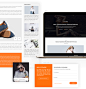 F.l.e.x.i.o.n Multipurpose Responsive Theme : Flexion theme is a nice fashion theme for any kind of Magento eCommerce store with modern and clean design. This theme introduces many innovative features and offers tons of customizable options, giving you to