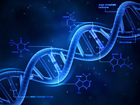 信函,模型,文字,研究,科学_15544...