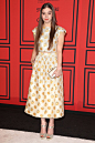  The 2013 CFDA Fashion Awards——Hailee Steinfeld in Suno