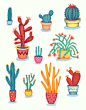 Cactus! : cacti!