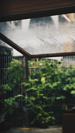 honghui采集到一蓑烟雨任平生