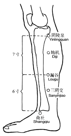 陌晗若采集到养生