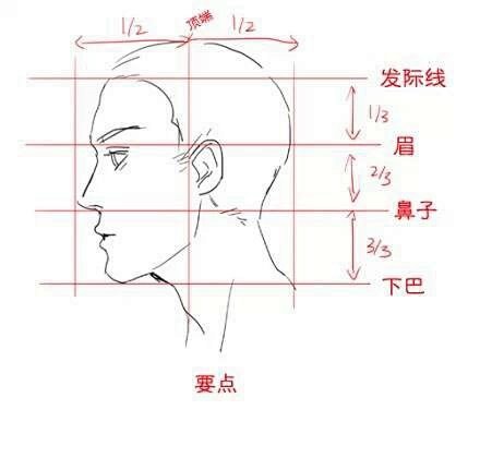 【绘画教材】头部的画法系列4，超级赞~推...