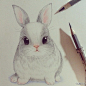 【绘画图片】萌 彩铅 素描 兔兔 这兔萌爆了！！！有木有？ 也可以用来作橡皮章素材啊 #治愈系#
