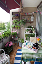 【庭院装饰】用绿植装扮阳台