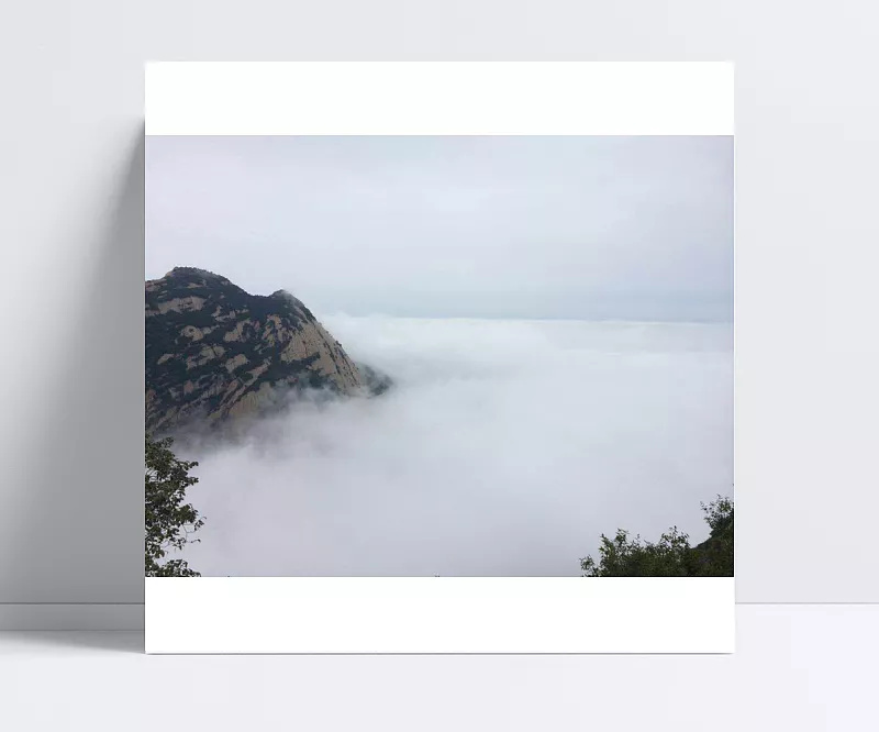 29ee79429f7e518954d8f822a29dd17c1d0793f031c0-fnUUJy