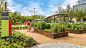 Levy Park | OJB Landscape Architecture : Levy Park is a highly programmed 5.9-acre urban park centered within the residential development project in the Upper Kirby District of Houston.