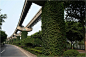 重庆垂直绿化8种案例欣赏 - 新闻中心 - 中国花卉网