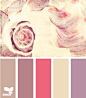 shell hues