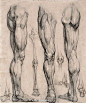 艺用人体膝盖关节的画法
.
下肢结构解剖分享
.
画人物速写与素描人物参考素材
.
源于网络 ​