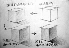 pigtruman采集到明暗交接线