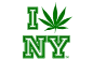 New York to Look at Legalizing Recreational Marijuana