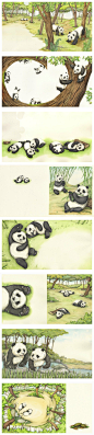 韩国插画师park,A-rim的一组小熊猫~