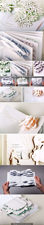 pop up book: