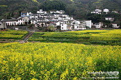 bettycheng采集到旅游_船游黄山, 月升朝