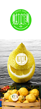 柠檬 水果LOGO 水果标志  标志  LOGO #Logo#  #字体#