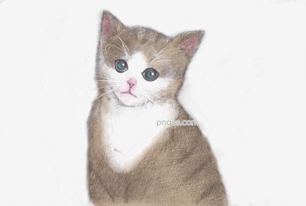 2a53319f1b44bff129b2f644968b4955c56b4a7d4601-YgRJVA