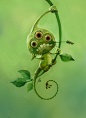 Cool Green Monster Cartoon Character.: 