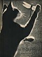 不一样的猫咪写真书《SAM》，摄影师Edward Quigley 于1938年出版，整本影集只拍摄了一只叫SAM 的猫，通过光与影的艺术处理画面中的猫时而忧郁，时而性感，时而顽皮。
