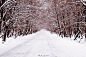 【美图分享】Hıdır yıldırım的作品《snowy road》 #500px#