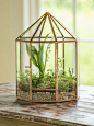 Gazebo Tabletop Terrarium - Glass Terrarium - Plant Terrarium: 