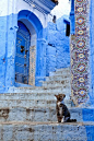 【摩洛哥老城Chefchaouen】蓝色之城，宛如梦境