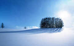 蕩失璐采集到雪景