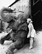 一名年轻女子抱着一只大象的配置文件