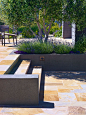 Scott Lewis Landscape Architecture - Ridgetop Home - SLLA - San Francisco