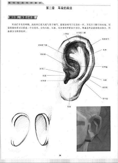 徐贱贱采集到【插画】教程