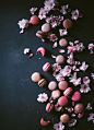 Cherry Blossom Macarons with Black Sesame ... | Desserts & Sweets (Gl…